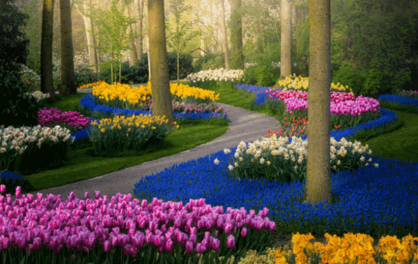 Keukenhof Zijn